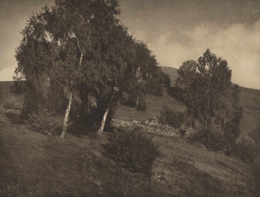 Landscape, The Tyrol