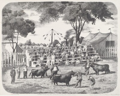 Judging the Bulls