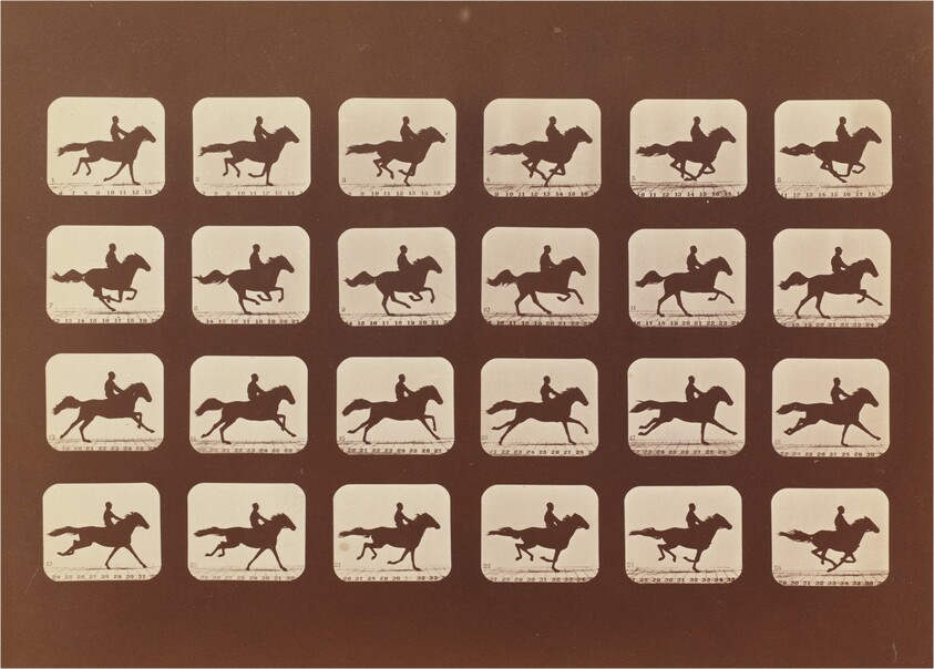 Horses. Running. Phyrne L. No. 40
