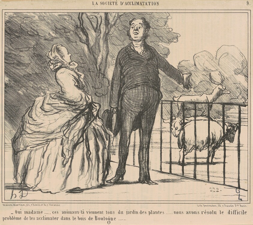 Oui madame ... ces animaux-la ...