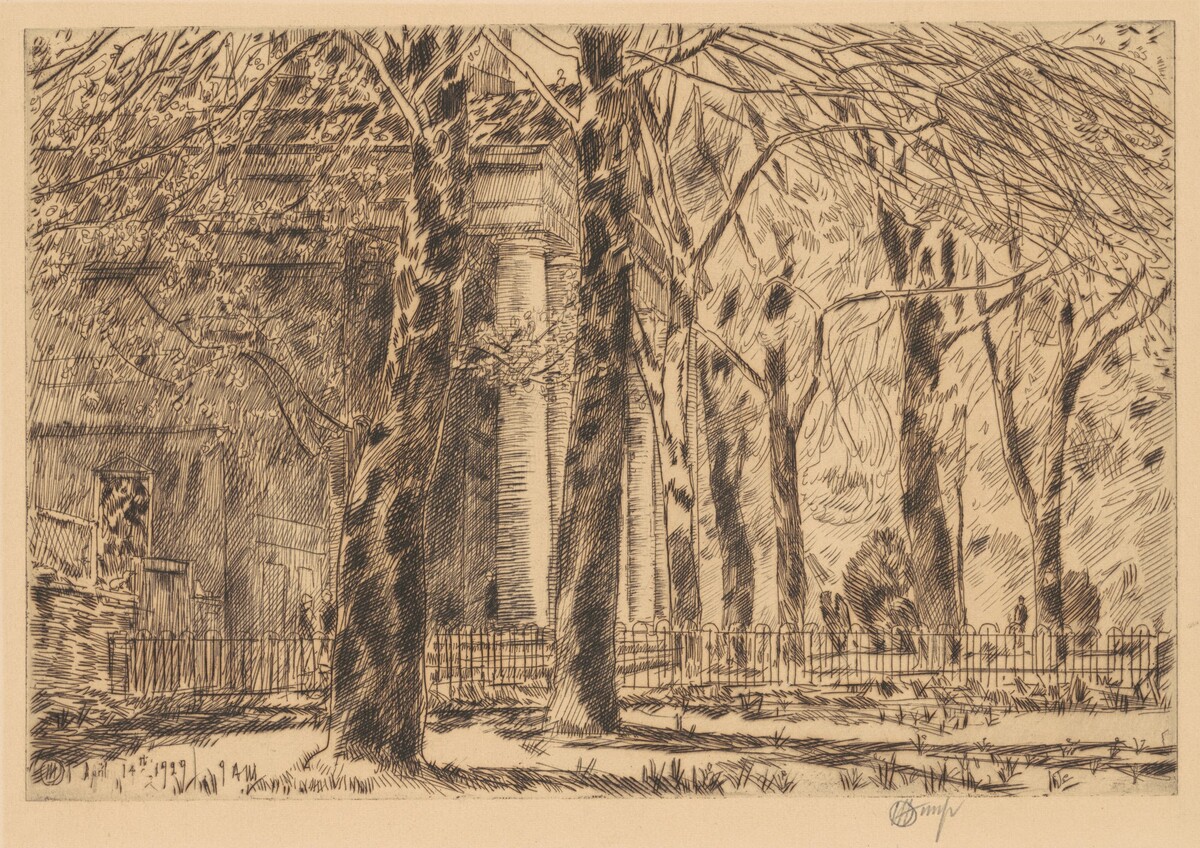 First Leaves—Spring in Washington, St. John's