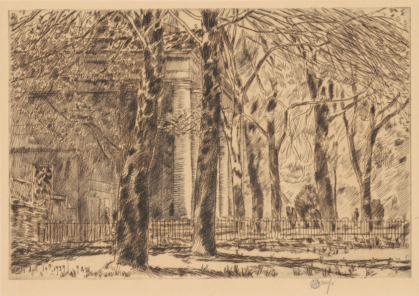 First Leaves—Spring in Washington, St. John's