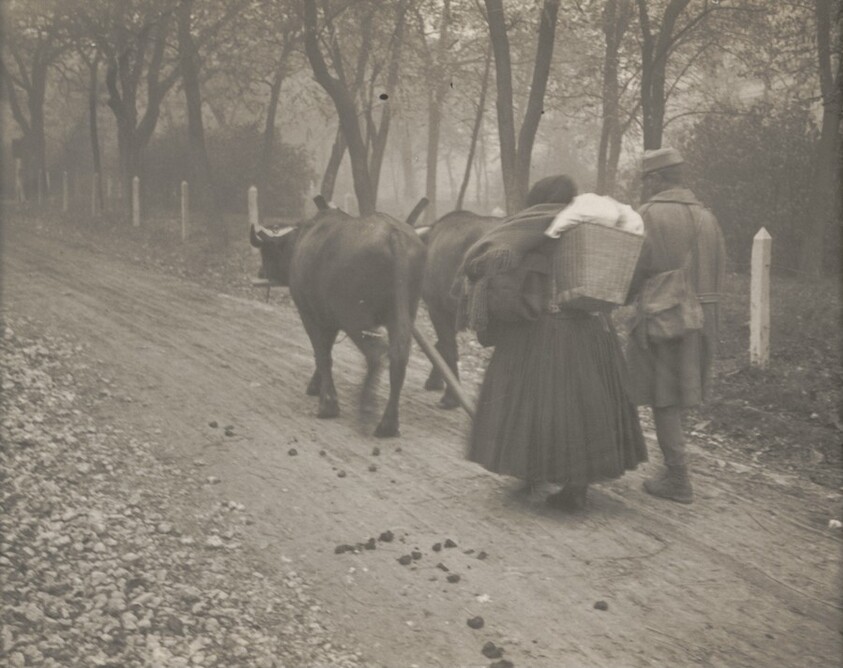 Peasant Woman with Soldier