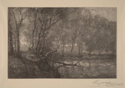 The Mill Pond