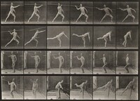 Plate Number 361. Throwing a spear, Eadweard Muybridge, 1887