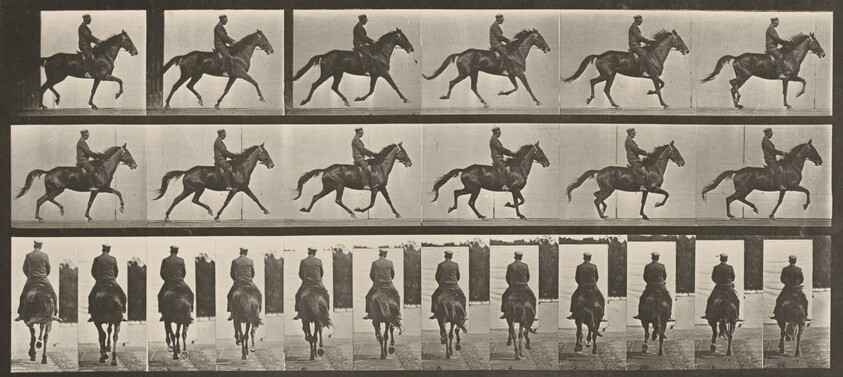 Plate Number 601. "Beauty" trotting, saddled