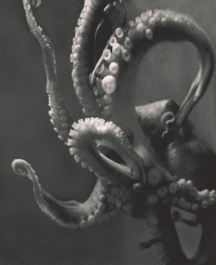 Black and White Portrait (Poppy)