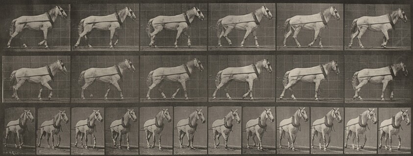 Plate Number 571. "Johnson" hauling