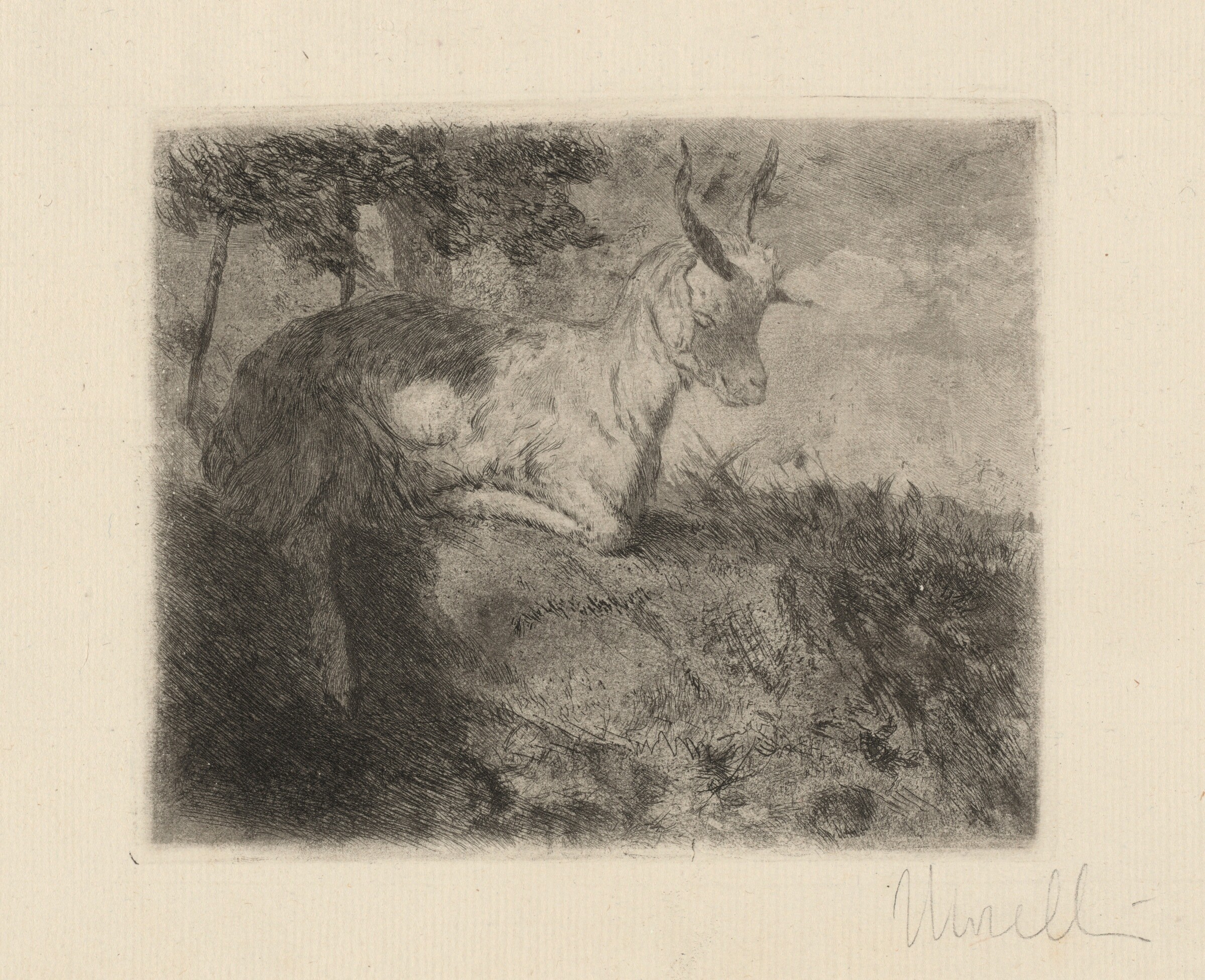 The Little Goat (La capretta), Domenico Morelli, c. 1879