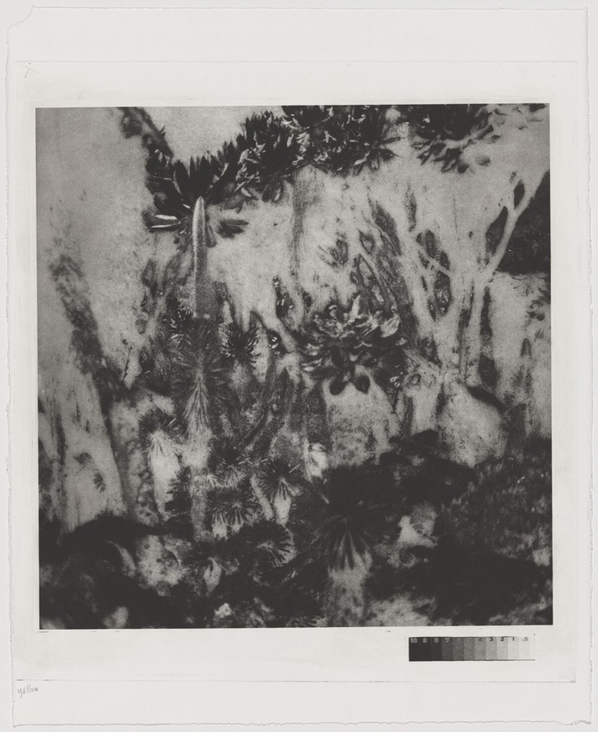 Fullmoon@Rwenzori: Mountains of the Moon [working proof 2]