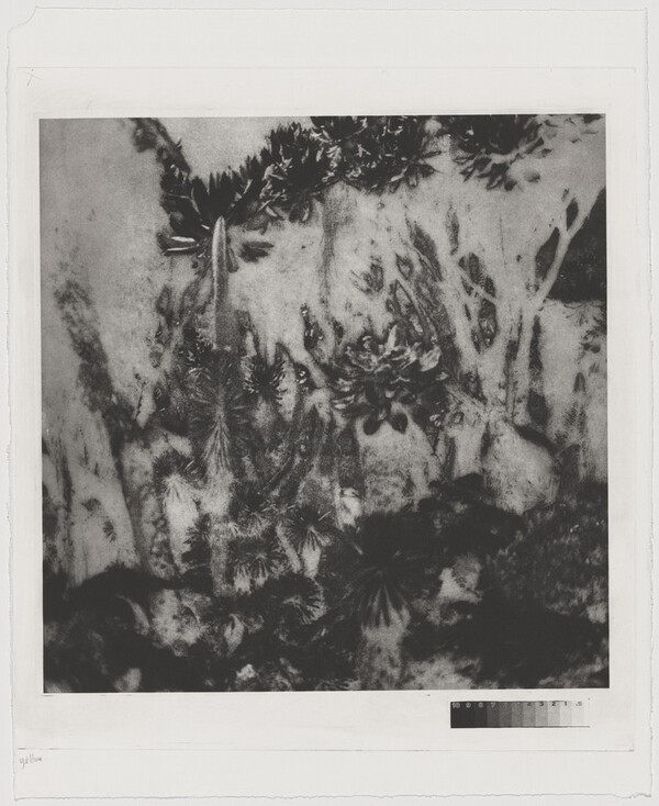 Fullmoon@Rwenzori: Mountains of the Moon [working proof 2]