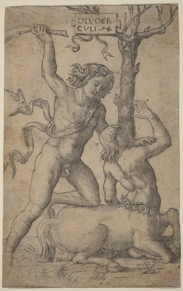 Hercules and Nessus