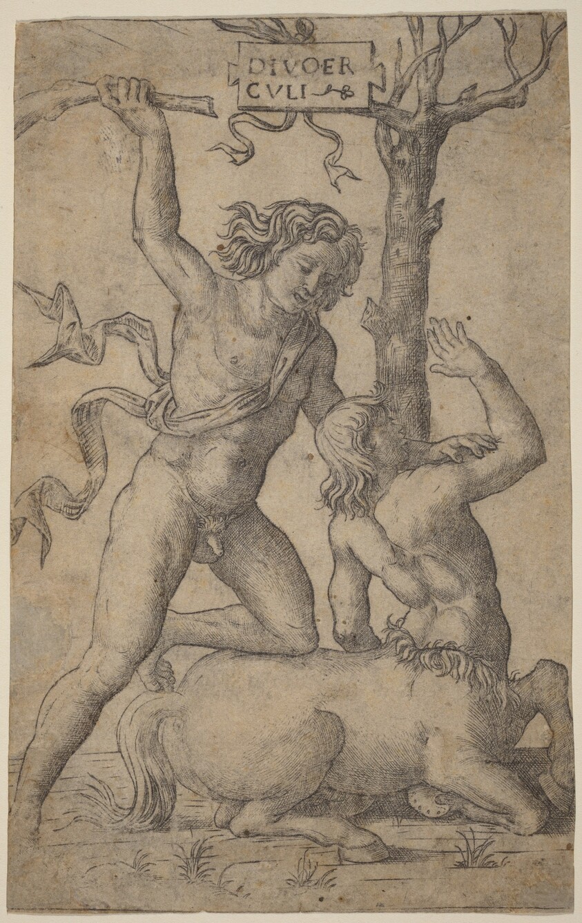 Hercules and Nessus