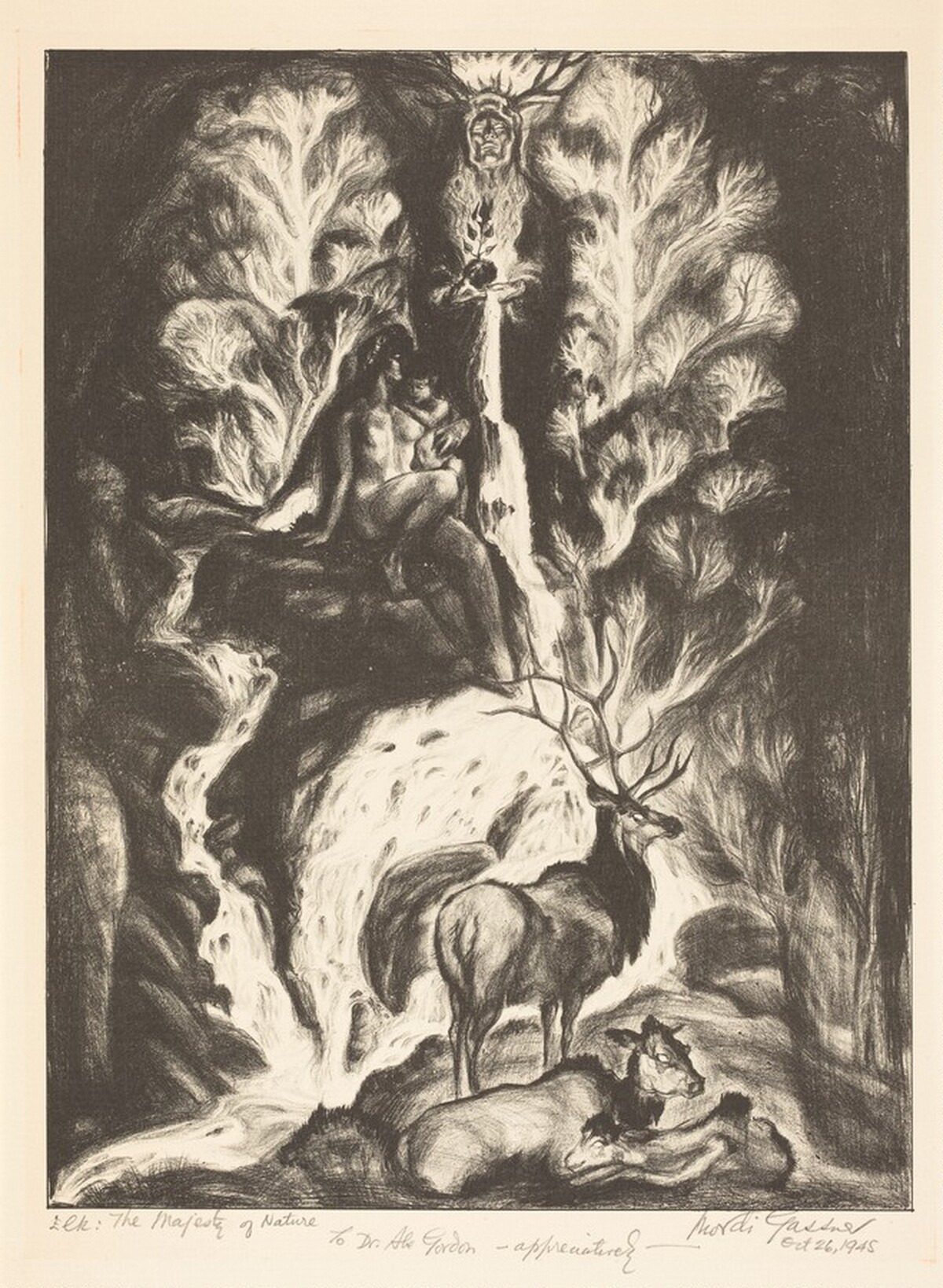 Elk: The Majesty of Nature