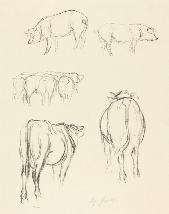 This image depicts five sketches of pigs in various poses. The pigs are shown from different angles and positions, with simple but expressive line work capturing their essence with minimal details. One pig is illustrated in a side view on the top left, another facing left on the top right, and a group of three pigs from behind below. A single pig from the rear is on the bottom left, while another from a back-centered perspective is on the bottom right. The drawing's minimalist style and soft pencil lines create an elegant and spontaneous feel.