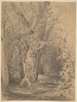Tree and Foliage, Walter Shirlaw, probably c. 1873