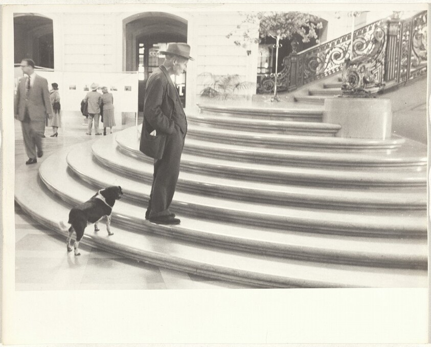 Lincoln Park--San Francisco