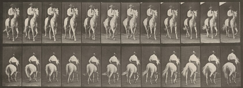 Plate Number 604. "Elberon" trotting, saddled