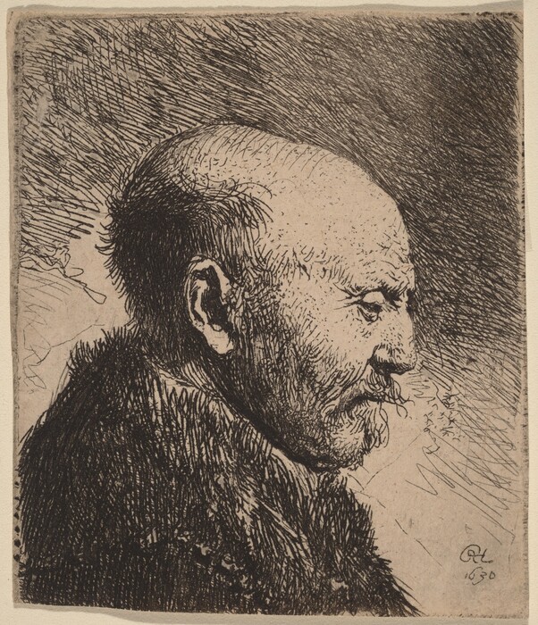 The image is an etching of a man's profile. The man is turned to the right, with his head slightly bowed. His facial features are prominent with a strong nose, and he has a partial beard. The man has a receding hairline, leaving a mostly bald head with hair only on the sides and lower back. He appears to be wearing a garment with a textured fabric, possibly a fur collar or coat. The background is filled with dense, swirling etching lines. The corner of the etching is signed and dated with an 'RL' monogram and the year '1630.'