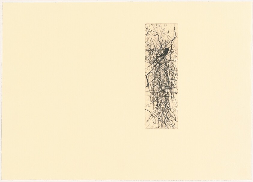 Day Three from Seven Day Diary (Not  Knowing)