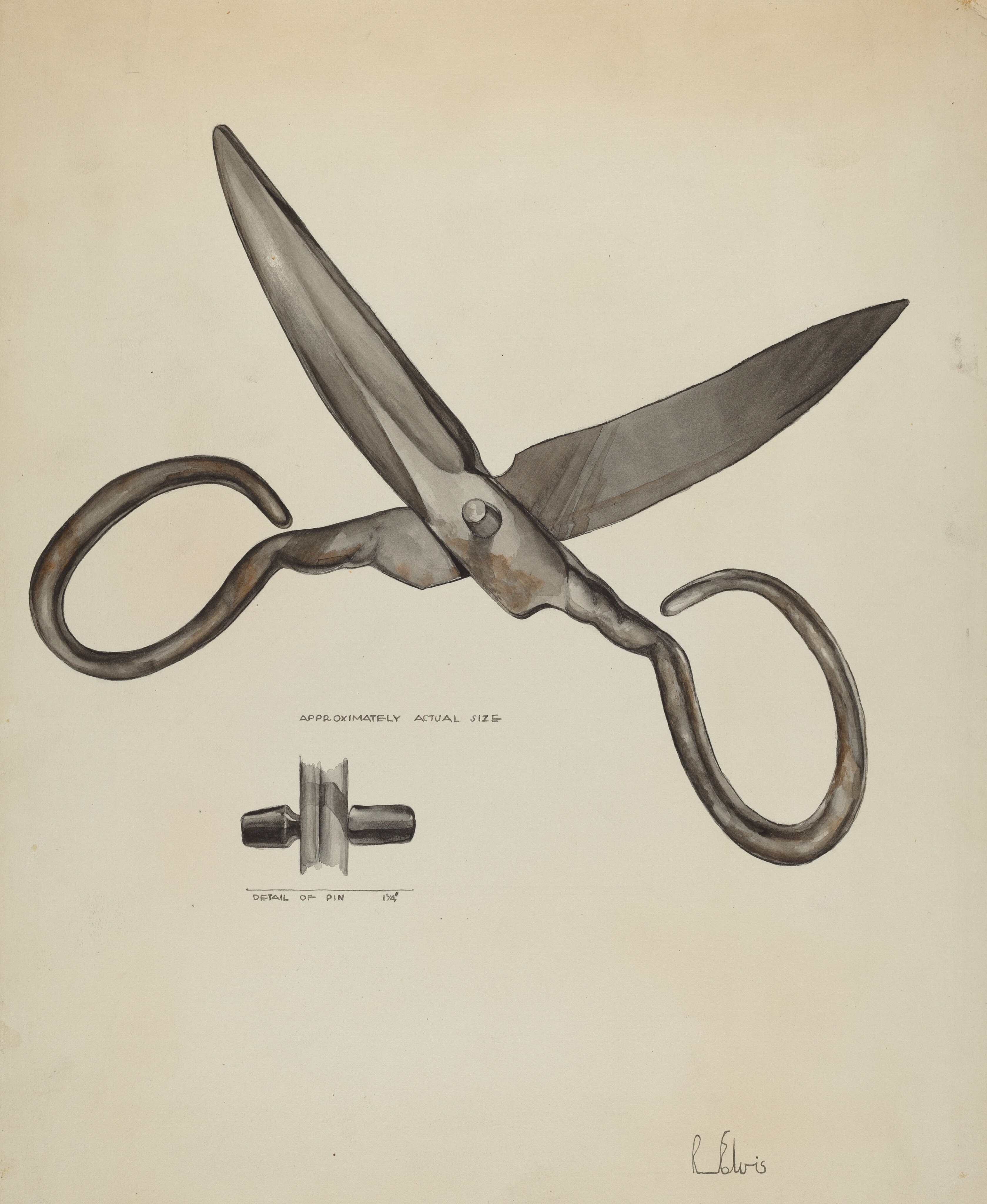 Scissors by Roberta Elvis