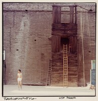 Study for Chinese Summerhall, Robert Rauschenberg, 1983