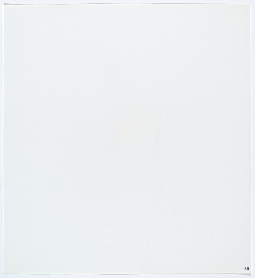 Stains: Glue (Wilhold Glu-bird)