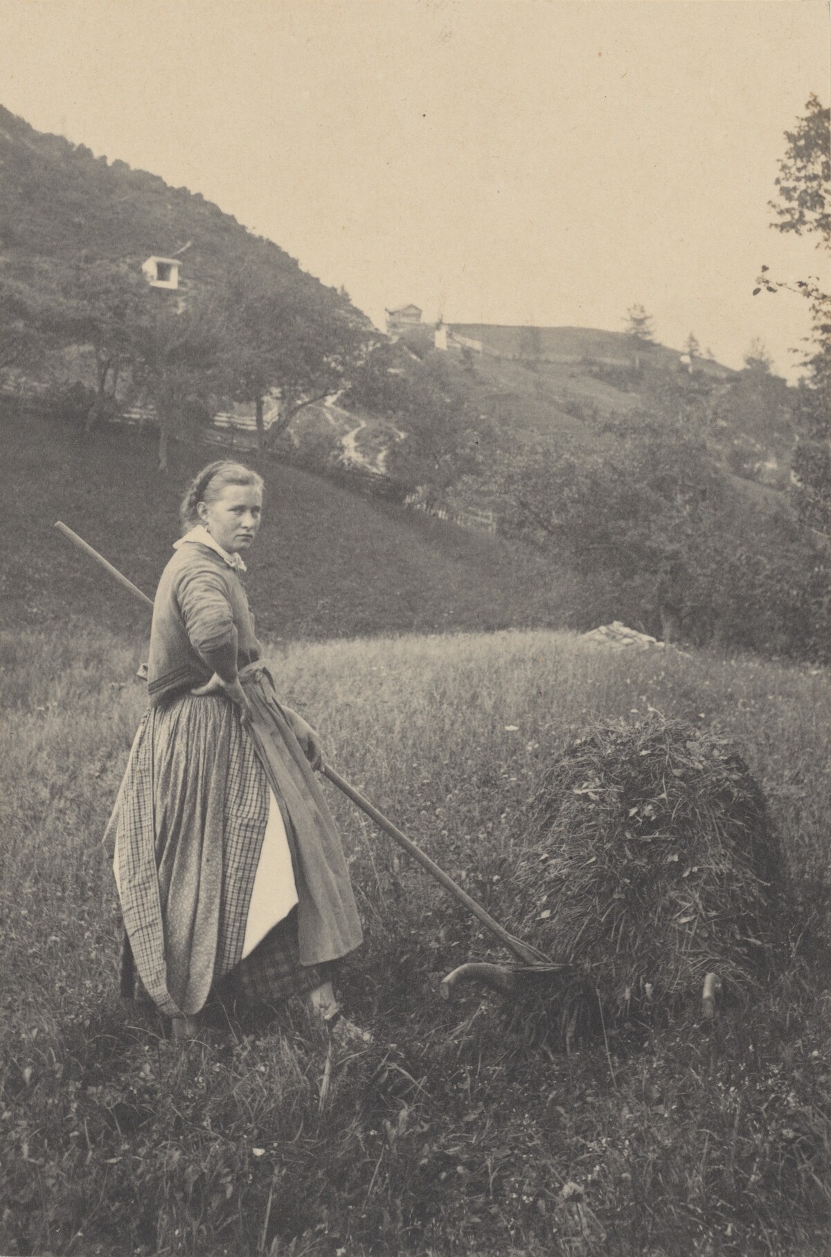 The Harvest, Mittenwald