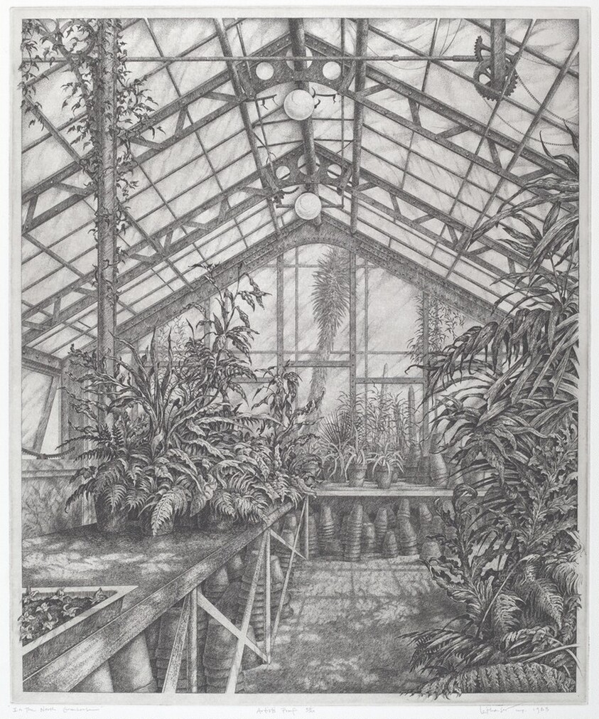 In the North Greenhouse