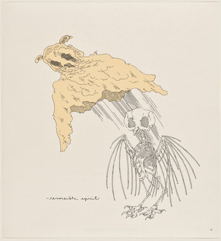 Owl Feathers: page 51