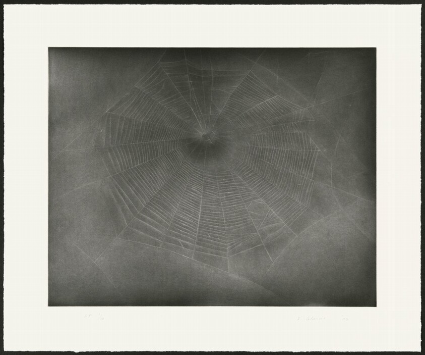 Untitled (Web 3) [special proof]