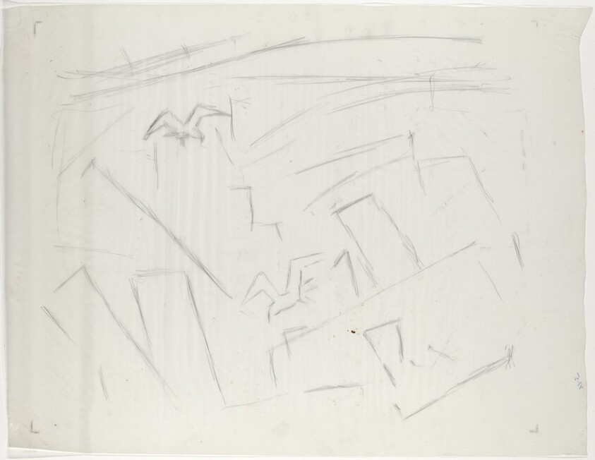 Linear Configuration with Birds