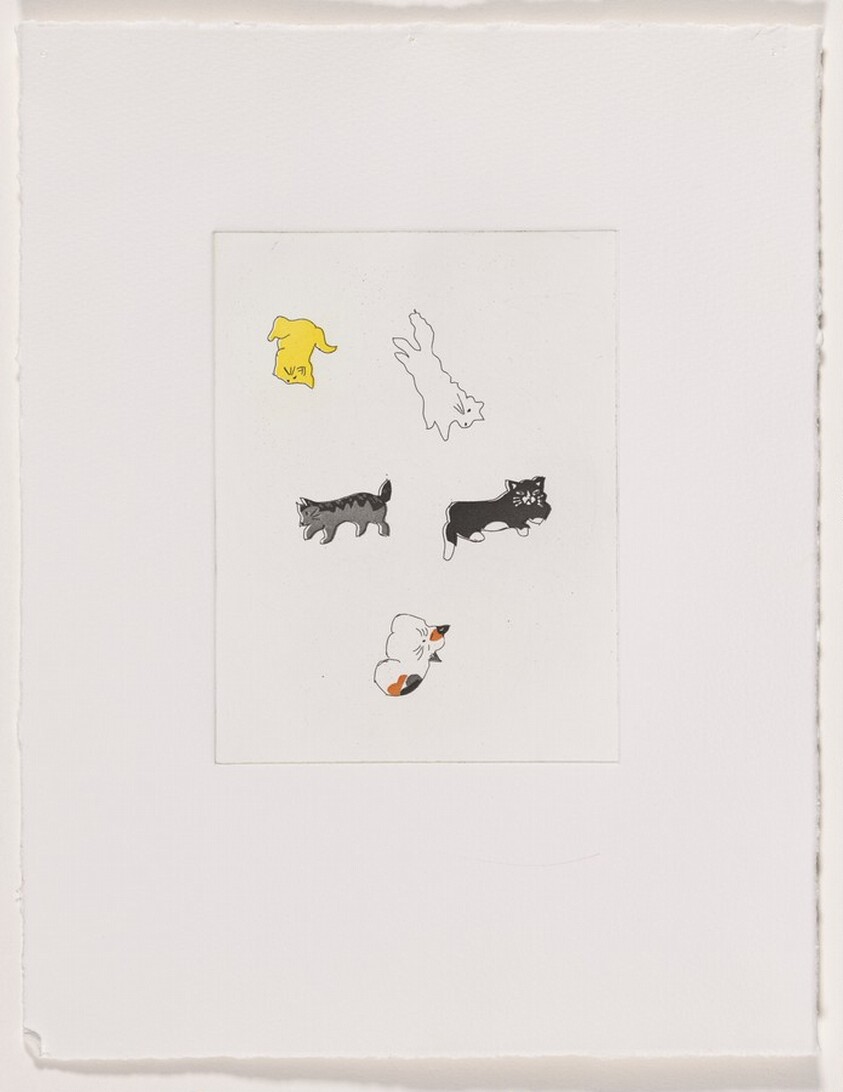 Ted4phoebe [working proof 2]