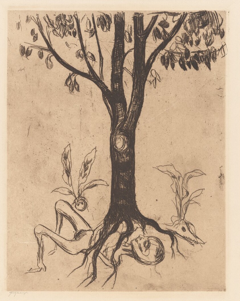 Life and Death (Liv og død)