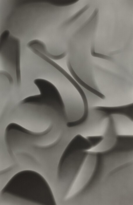 The image features smooth, flowing shapes and curved lines that create an abstract composition. The shapes have soft edges and gradient shading.