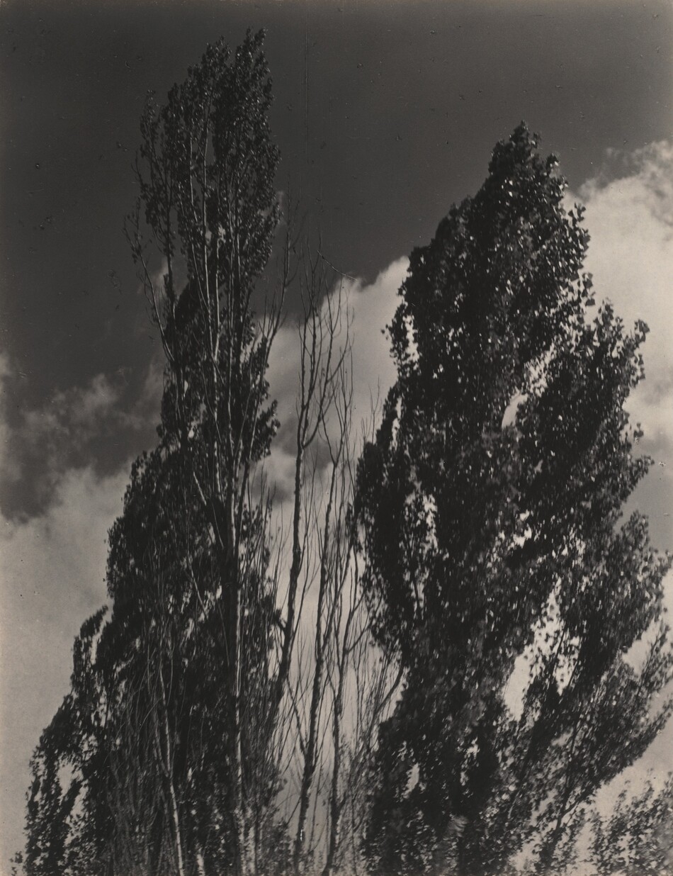 Amazon.com: Alfred Stieglitz at Lake George: 9780810961494
