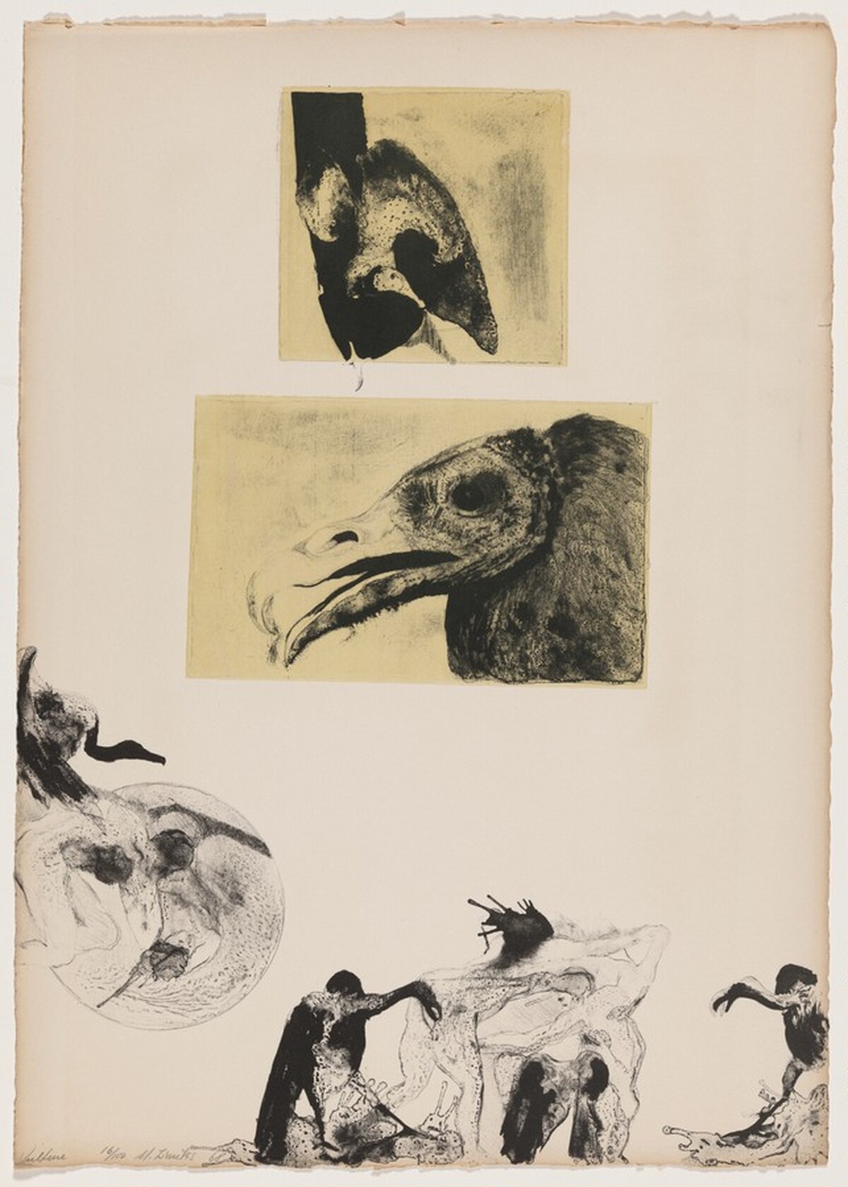 Vulture