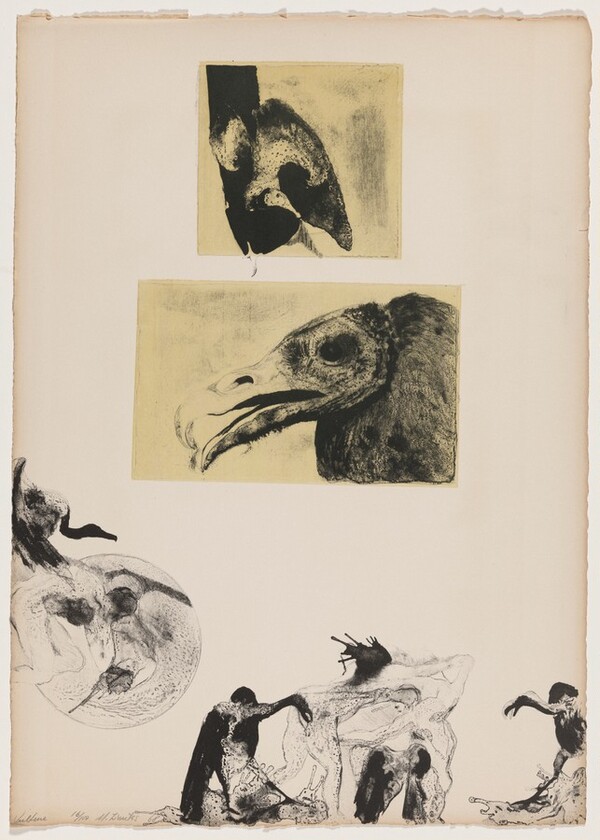 Vulture