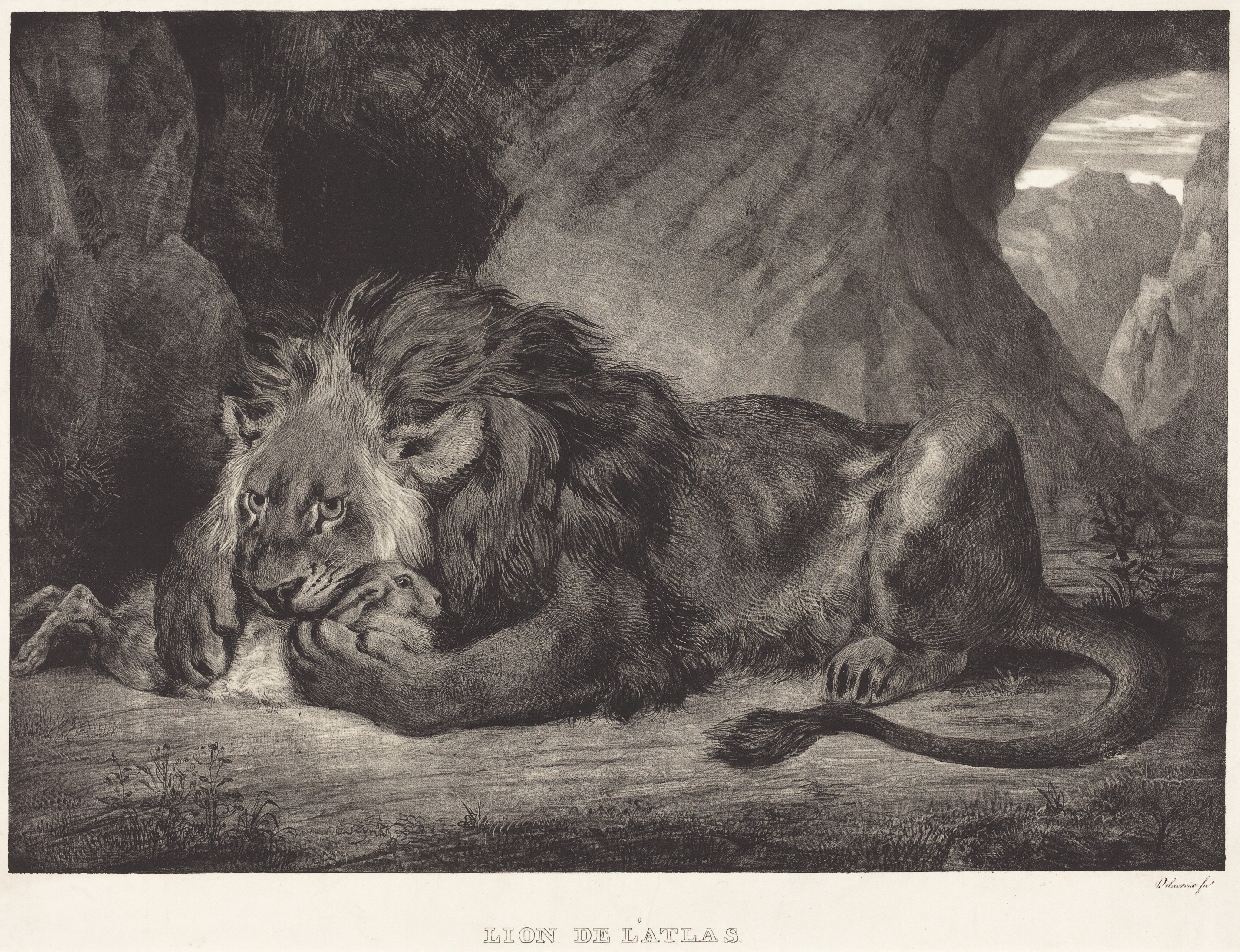Lion of the Atlas Mountains (Lion de l'Atlas) by Eugène Delacroix