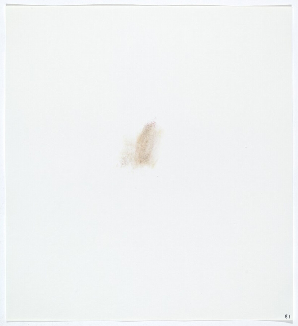 Stains: Cabbage (Red)