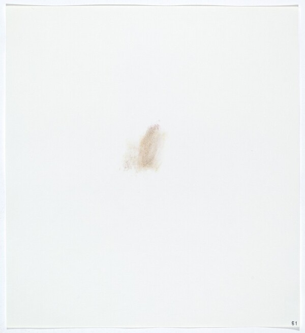Stains: Cabbage (Red)