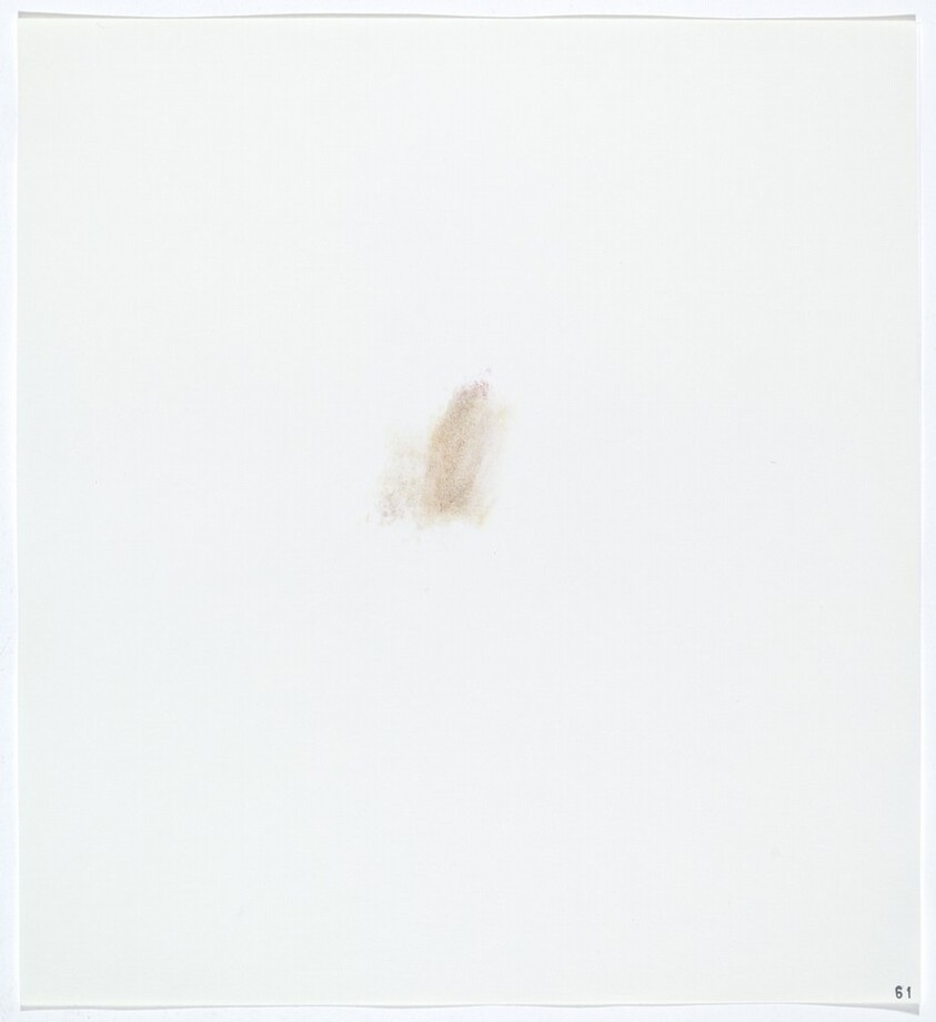 Stains: Cabbage (Red)