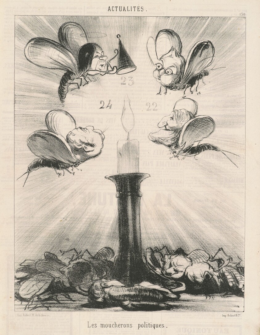 Les moucherons politiques