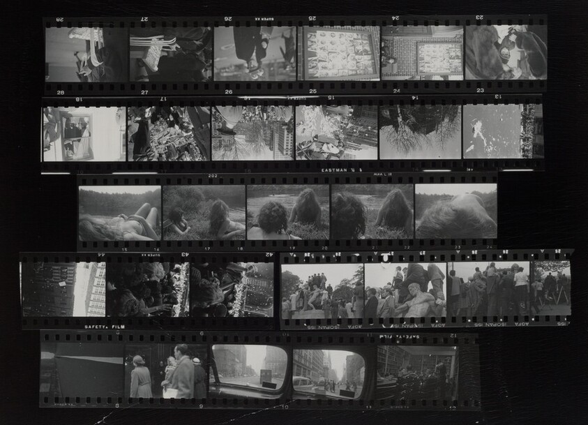 New York City, Wellfleet, Switzerland, and Early New York City