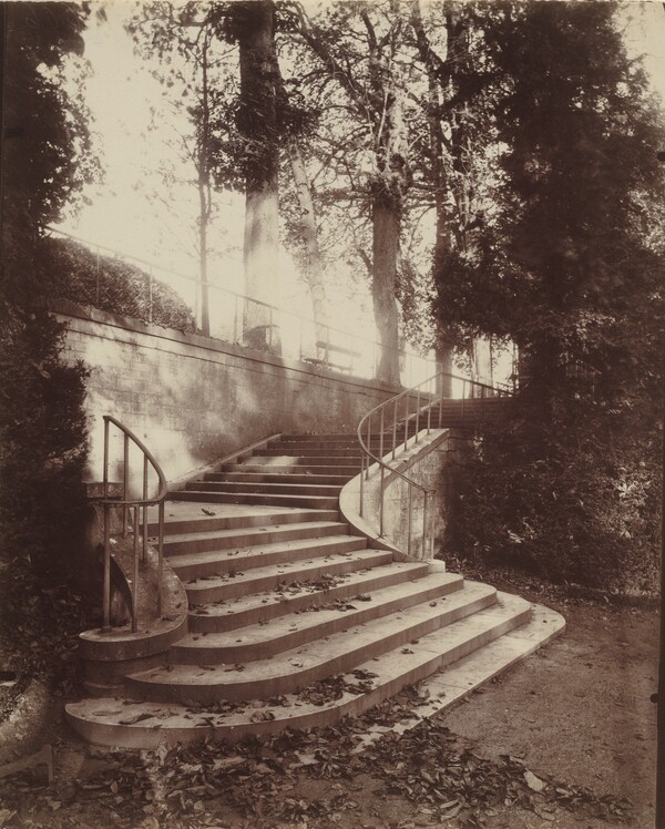 The Steps at Saint-Cloud