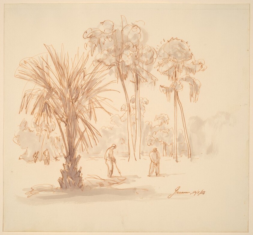 Golfers in the Tropics