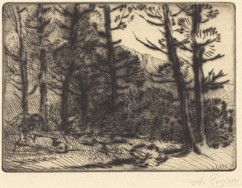Woods in Winter Sun, 2nd plate (Soleil d'hiver dans les bois)