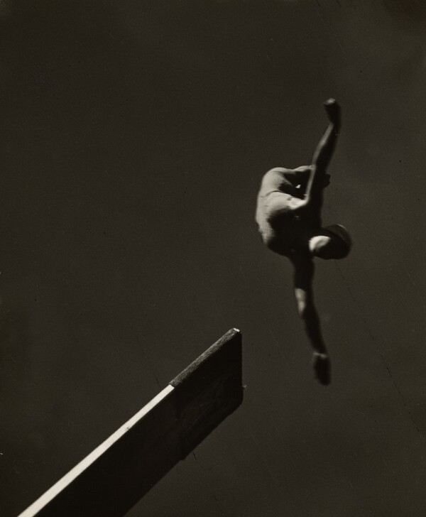 Twist Dive