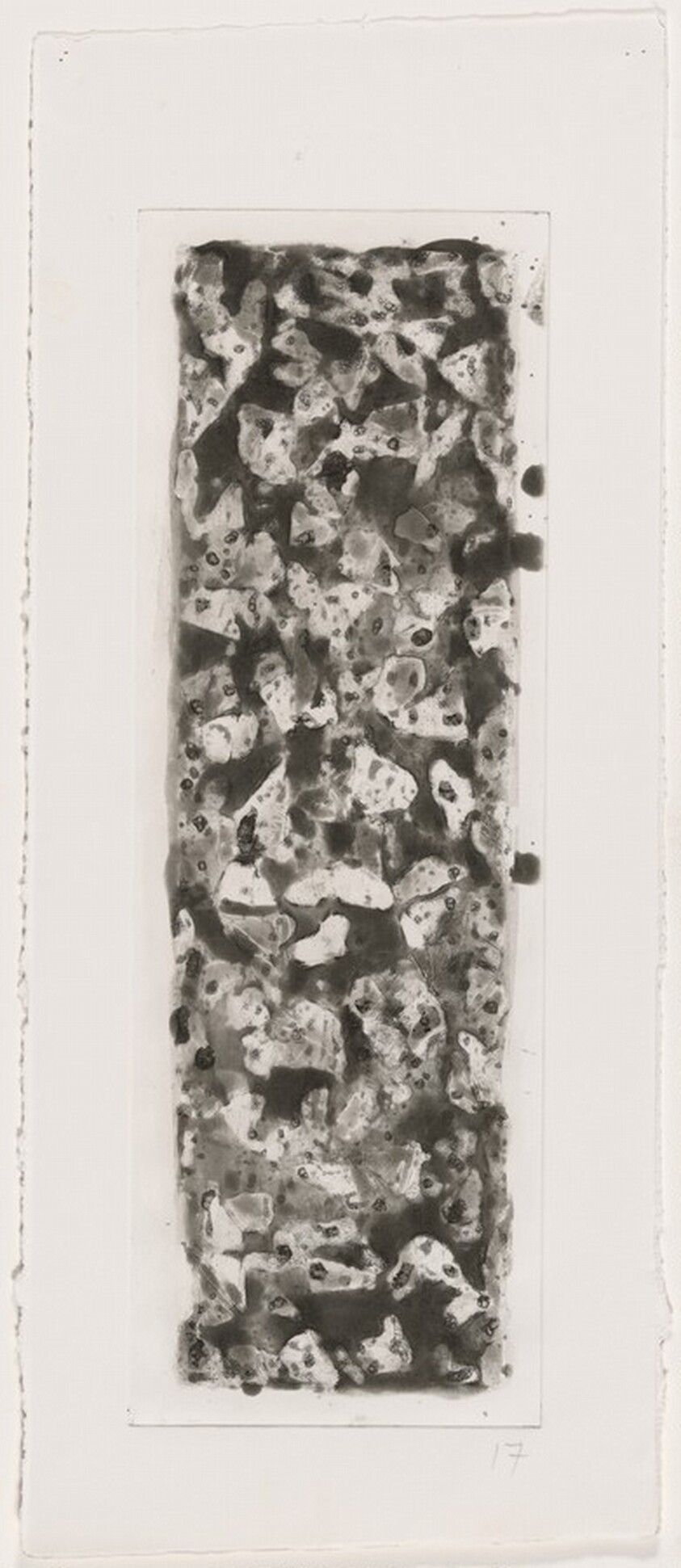 Color & Black, 30 x 17, No. 1 [working proof 8]