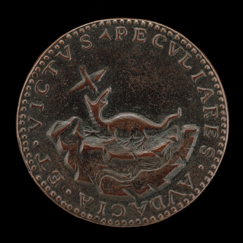 Crocodile and Trochilus [reverse]